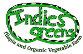 Indies Greens